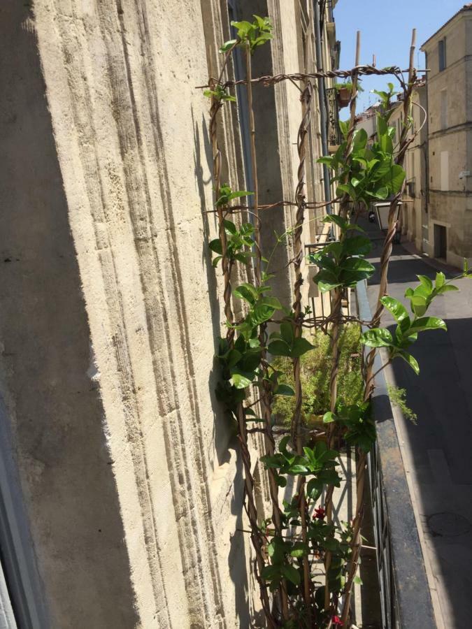 Chez Noelle Et Emmanuel Lejlighed Montpellier Eksteriør billede